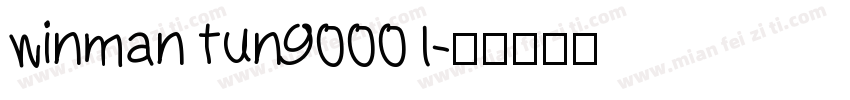 winman tun90001字体转换